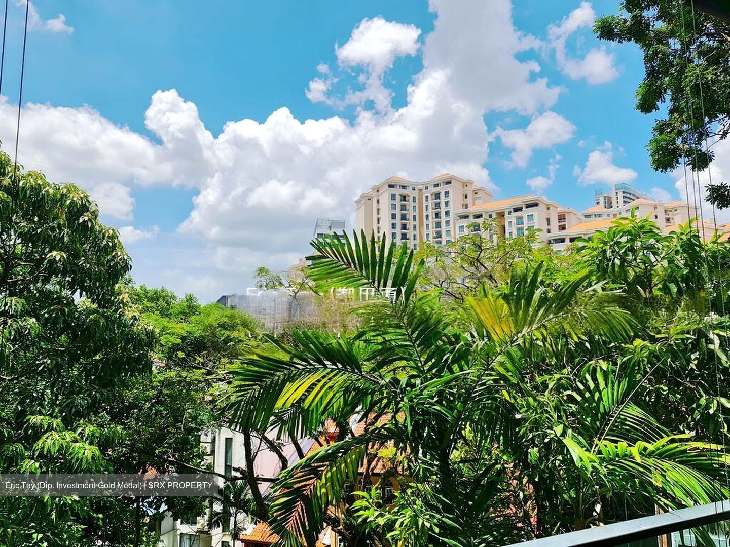 Belle Vue Residences (D9), Condominium #462527371